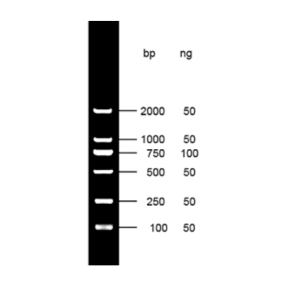 DL2000-上海聚慕医疗器械有限公司